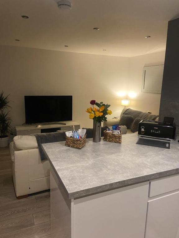 TV at/o entertainment center sa Spacious one bedroom ground floor apartment