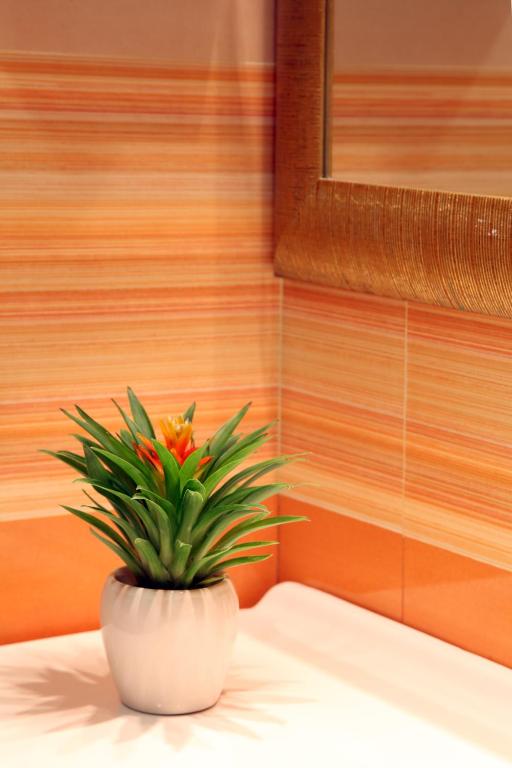Fotografie z fotogalerie ubytování Hotel Serena srl v Římě