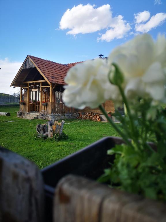 Zahrada ubytování Naša mala koliba