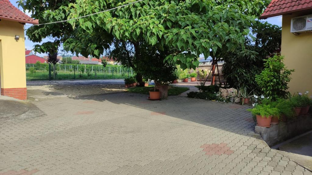 Zahrada ubytování Eckhardt Vendégház