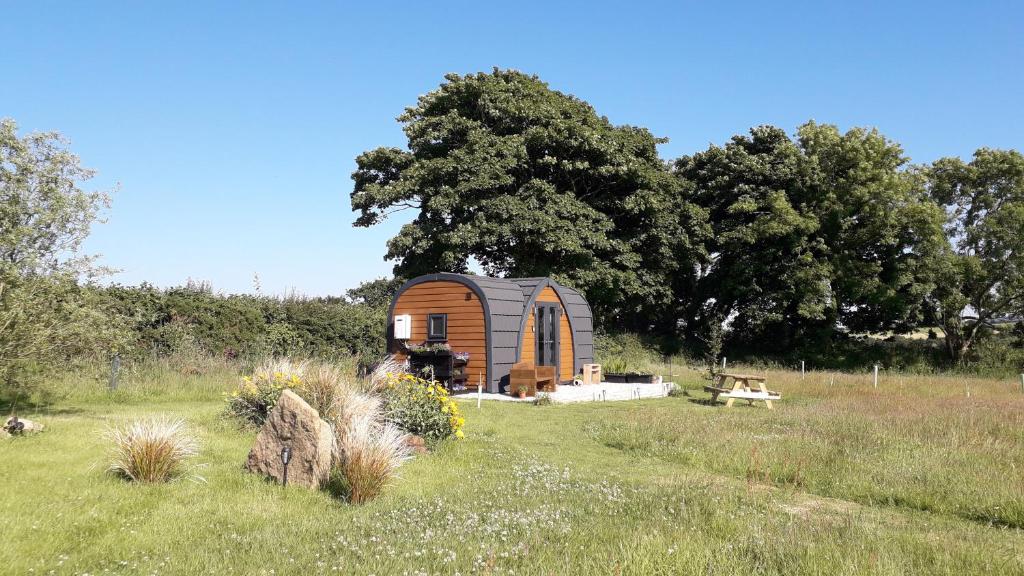 a small cabin in the middle of a field at Hornbeam Luxury Eco Pod at Trewithen Farm Glamping in Launceston