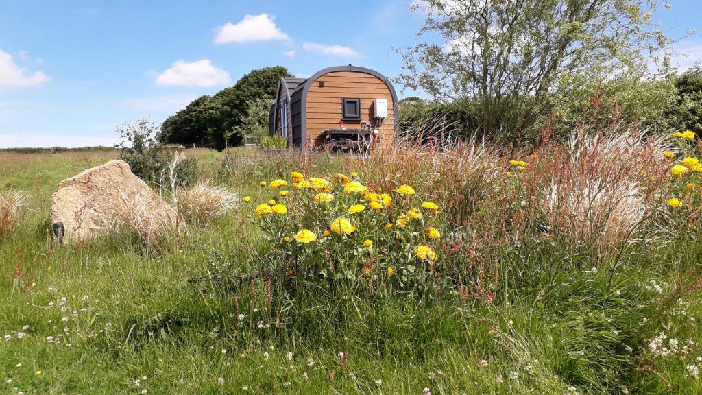 a small wooden cabin in a field with yellow flowers at Rowan - Luxury Pod at Trewithen Farm Glamping in Launceston