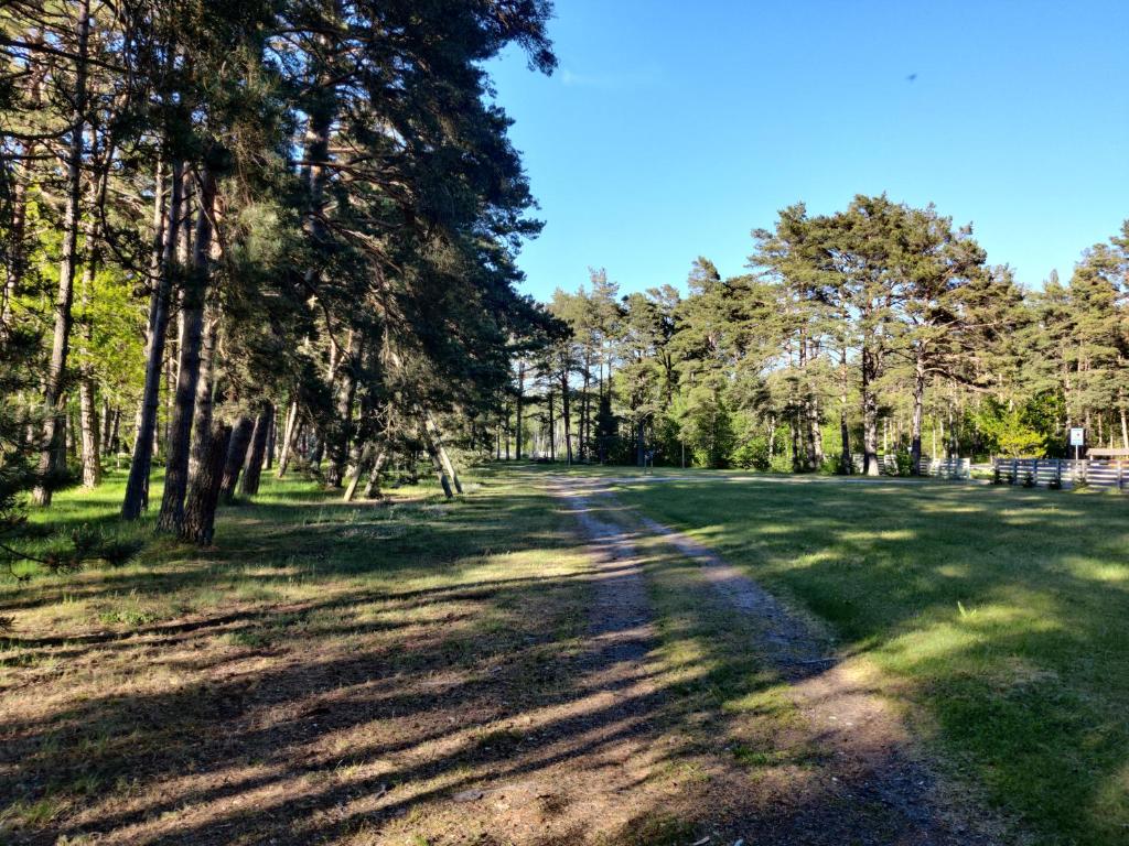 Příroda nedaleko kempu