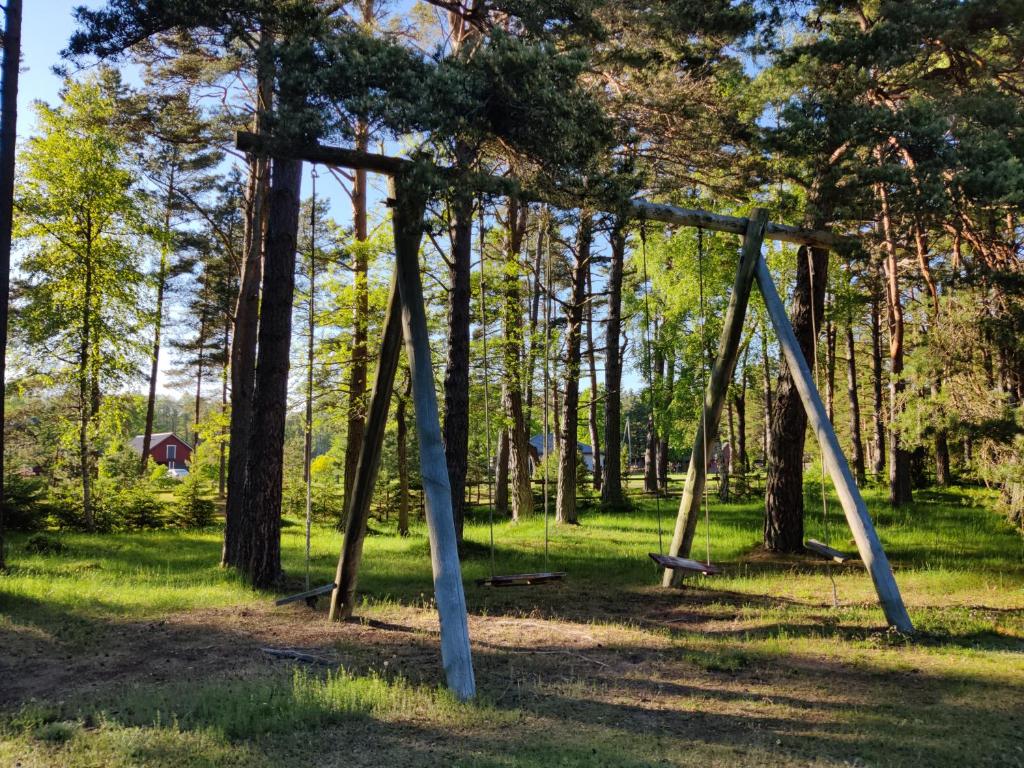 Příroda nedaleko kempu