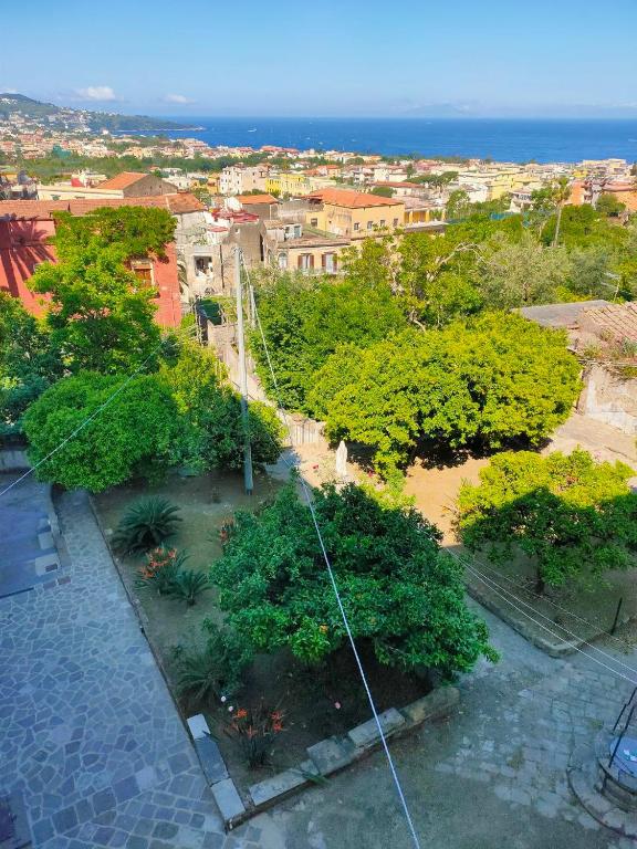 an aerial view of a park with trees and the ocean at Coco's Apartment in Meta