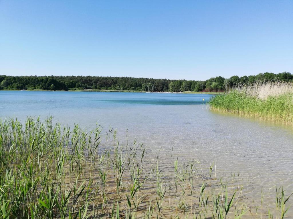 Príroda v okolí dovolenkového domu