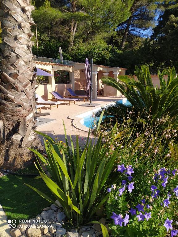 d'un jardin avec une piscine et quelques plantes et fleurs. dans l'établissement Appartement Giovanna, à Ceyreste