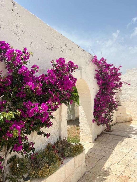 a bunch of purple flowers on a wall at Masseria Piccole Taverne in Rosa Marina