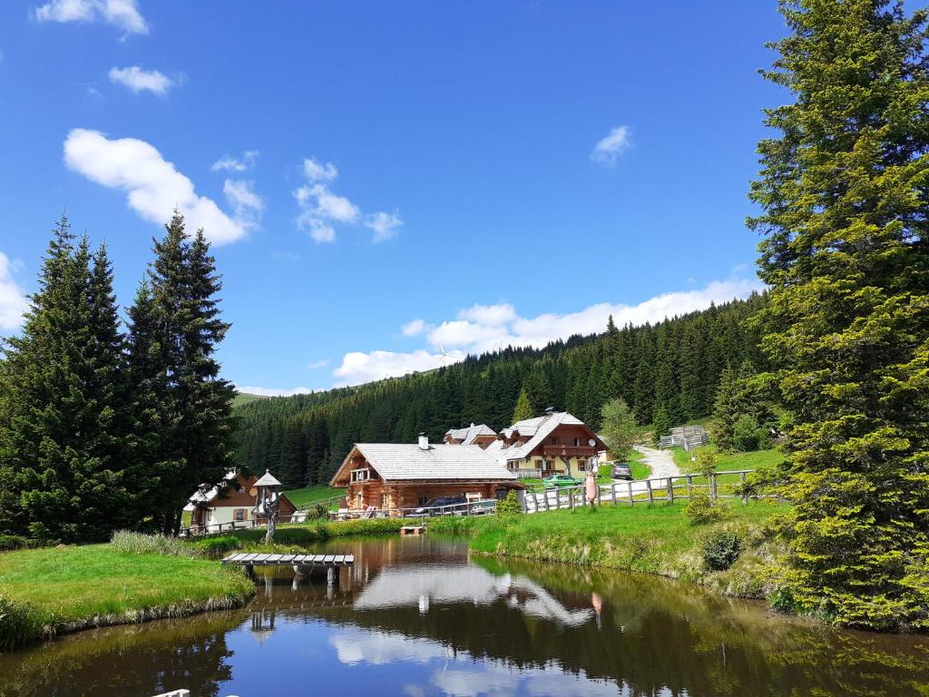 uma casa ao lado de um rio em Schönberghütte em Lachtal