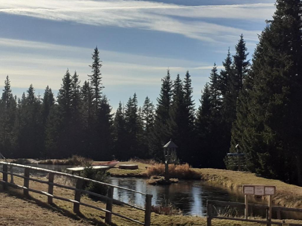 a river with a fence and trees in the background at Schönberghütte in Lachtal
