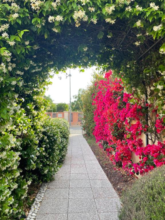 a garden with pink flowers and a pathway at Bougainville in San Vincenzo
