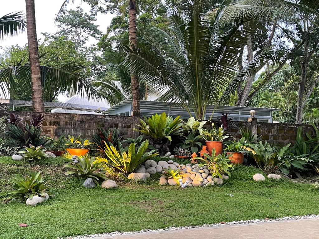 Casa De Rosa - One-Bedroom House