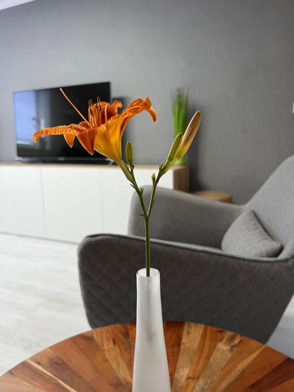 una flor naranja en un jarrón blanco sobre una mesa en stay!apart Gieckau, en Naumburg