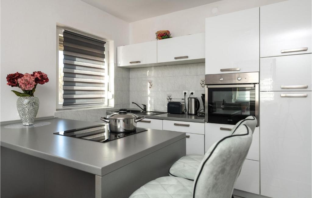Kuchnia lub aneks kuchenny w obiekcie Gorgeous Home In Labin With Kitchen
