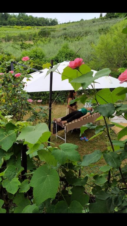 Ogród w obiekcie La Collina Olistica