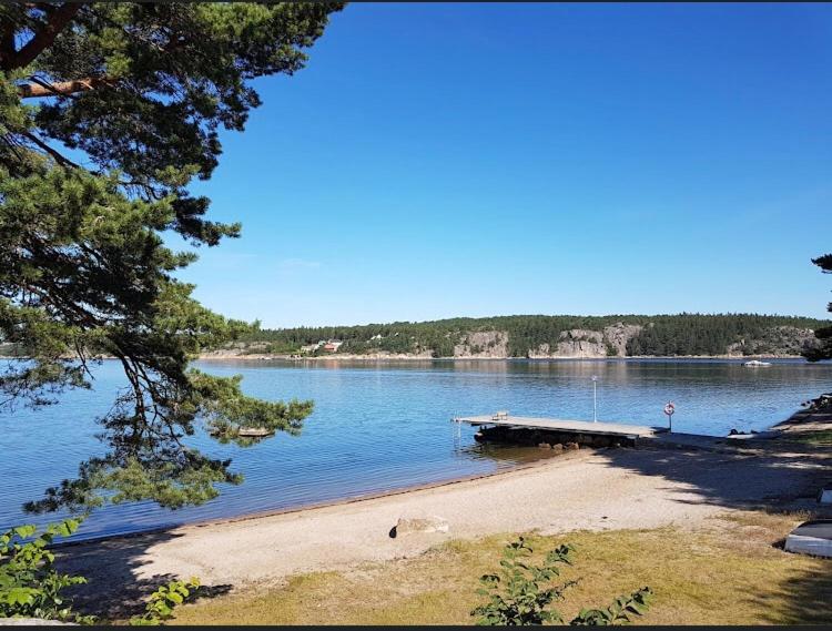 En strand ved eller i nærheten av vandrerhjemmet