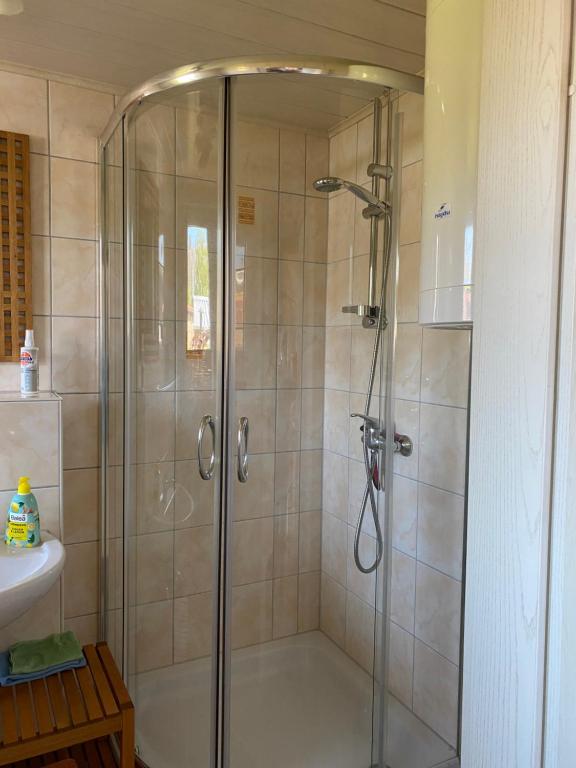 a shower with a glass door in a bathroom at Ott‘s FEWO in Gnevsdorf