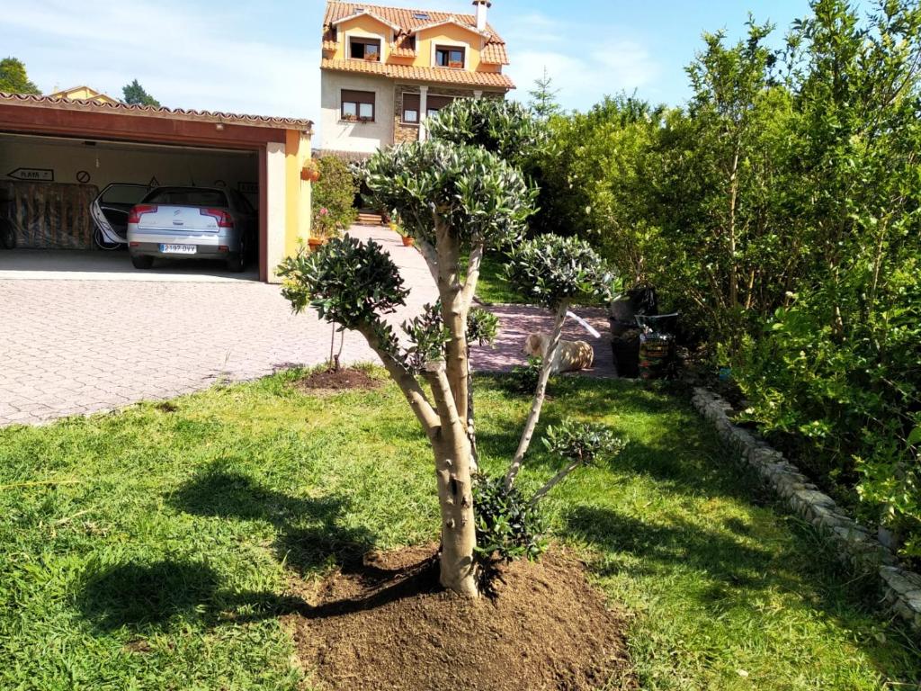 Zahrada ubytování Apartamento Casa A Braña