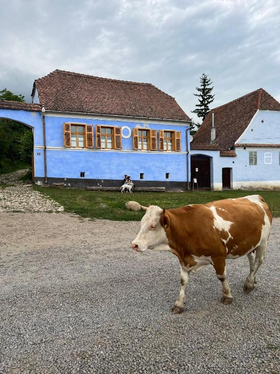 Zvířata v hotelu nebo okolí