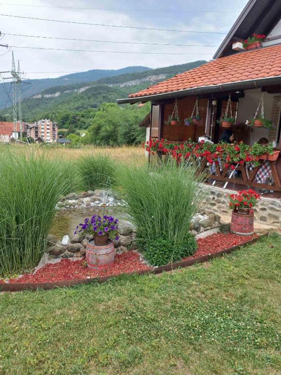 Příroda nedaleko apartmánu