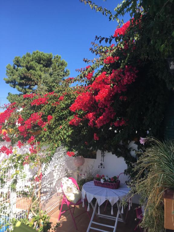 a table and chairs under a tree with red flowers at A Casa do Lagar in Azeitao
