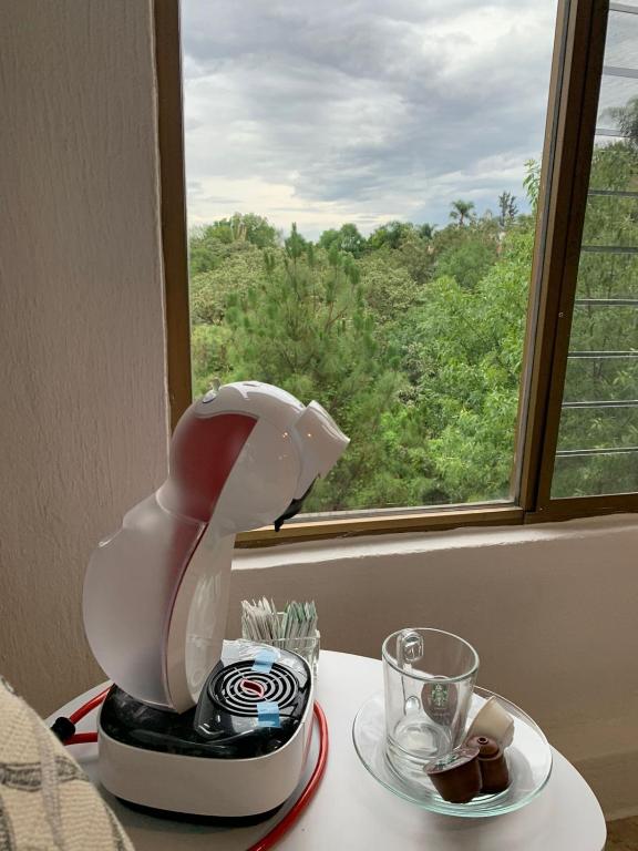 Příroda nedaleko hotelu
