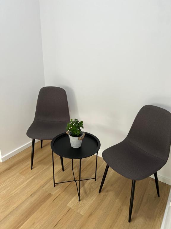 Posezení v ubytování Accommode