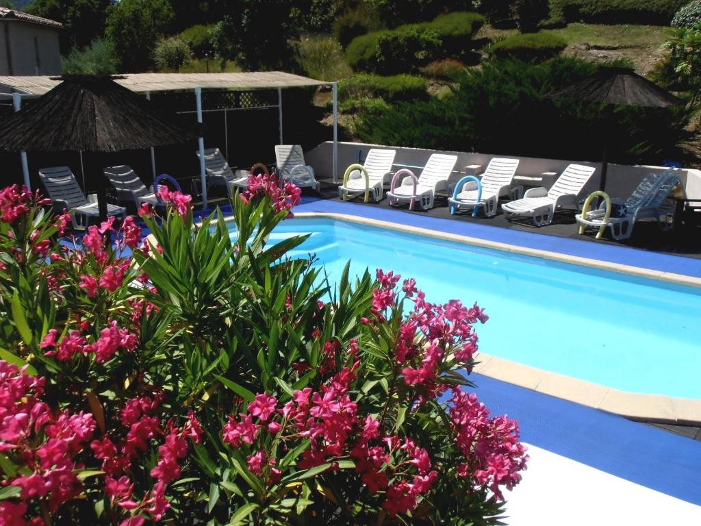 einen Pool mit Stühlen und rosa Blumen in der Unterkunft Villa la Soleiade 3Gites 2à4 pers climatisés, au Lac de Saint-Cassien proximité Cannes Mandelieu la Napoule Frejus St Raphael in Montauroux
