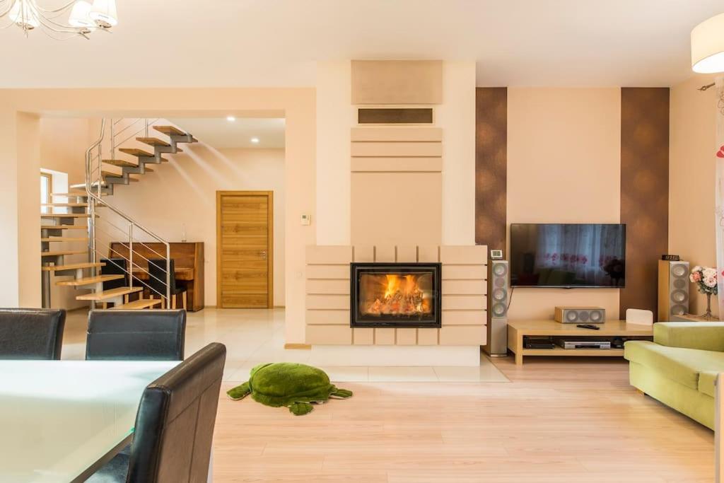 a living room with a fireplace and a green turtle on the floor at House in the Pine Park in Jūrmala