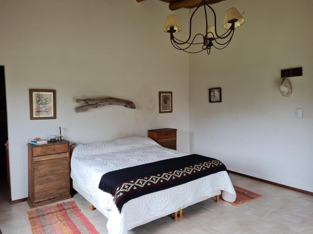 Atos Pampa – Photos 4