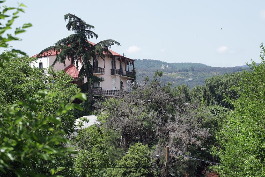 Příroda nedaleko hotelu