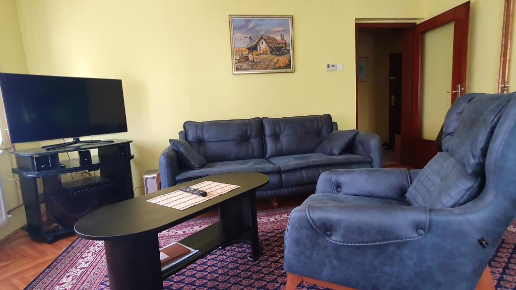 een woonkamer met een bank, een tafel en een tv bij Apartment Roxana Vrdnik in Vrdnik