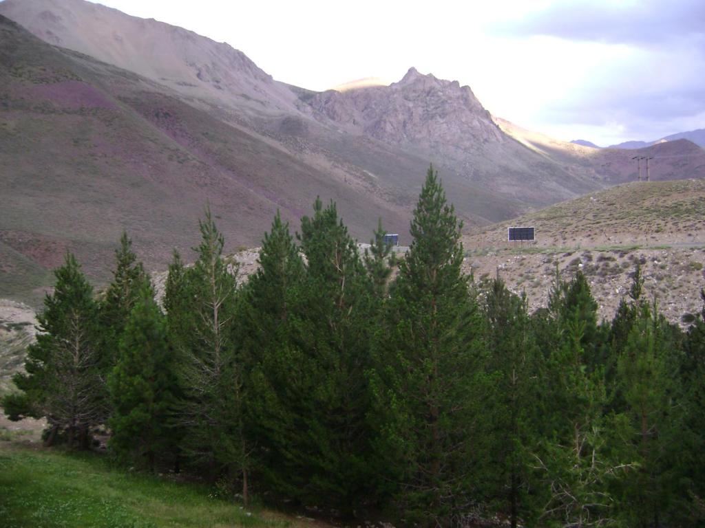 a group of trees in front of a mountain at Departamento Valle Las Leñas in Las Lenas