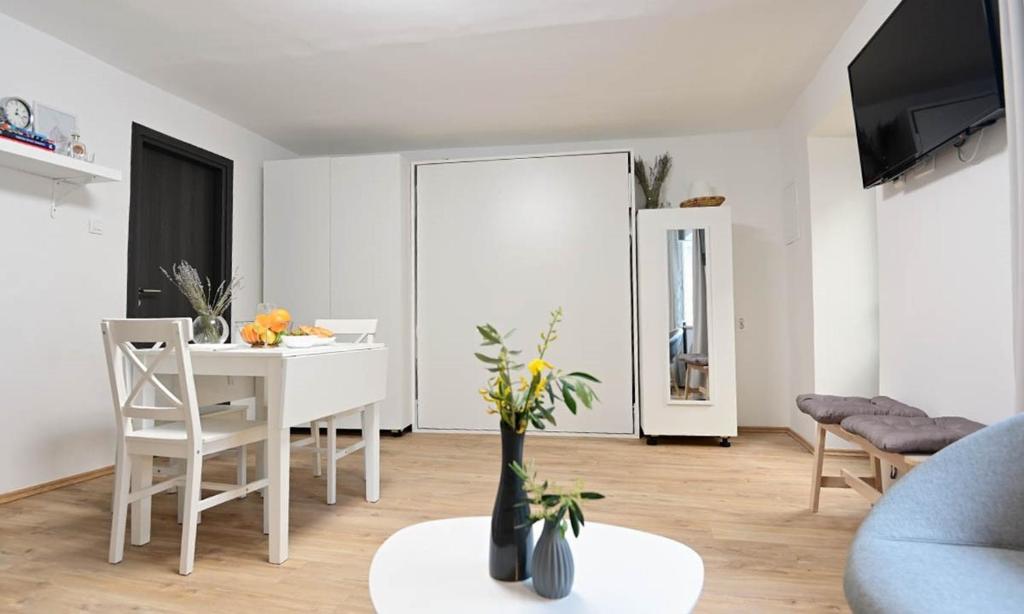 TV a/nebo společenská místnost v ubytování Apartment D & Studio L