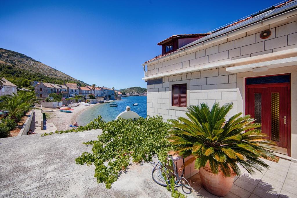 Příroda nedaleko apartmánu