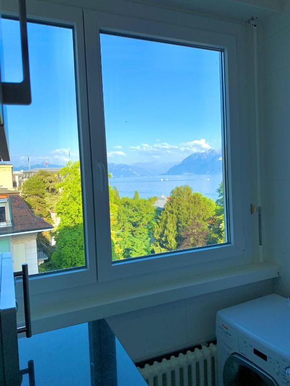 High standing apartment in Ouchy - Lausanne - Resim 9