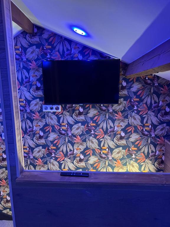 TV a/nebo společenská místnost v ubytování Justcozy chambre indépendante #4