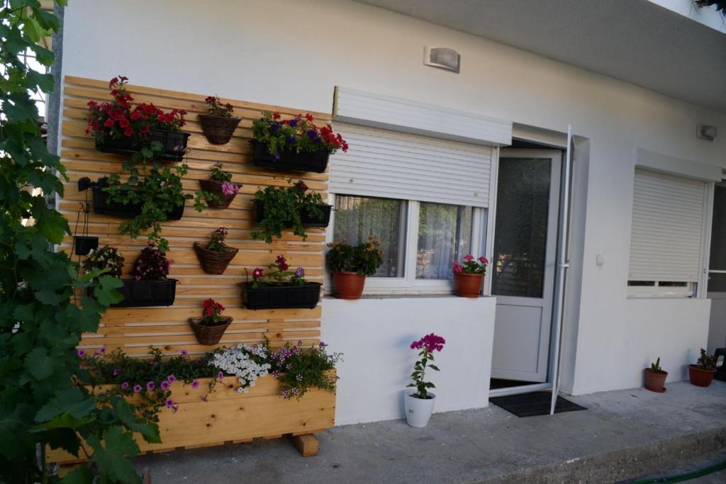 un mur de rétention avec des plantes en pot sur une maison dans l'établissement Apartments Frau Trena, à Gevgelija