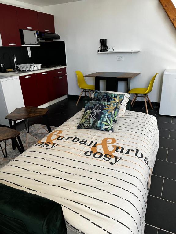 Studios au quartier pavillonnaire rue d Ambert - Studio Con Terrazza
