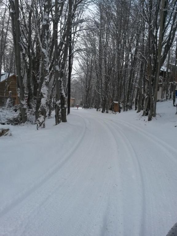 Buenavida Guesthouse v zimě