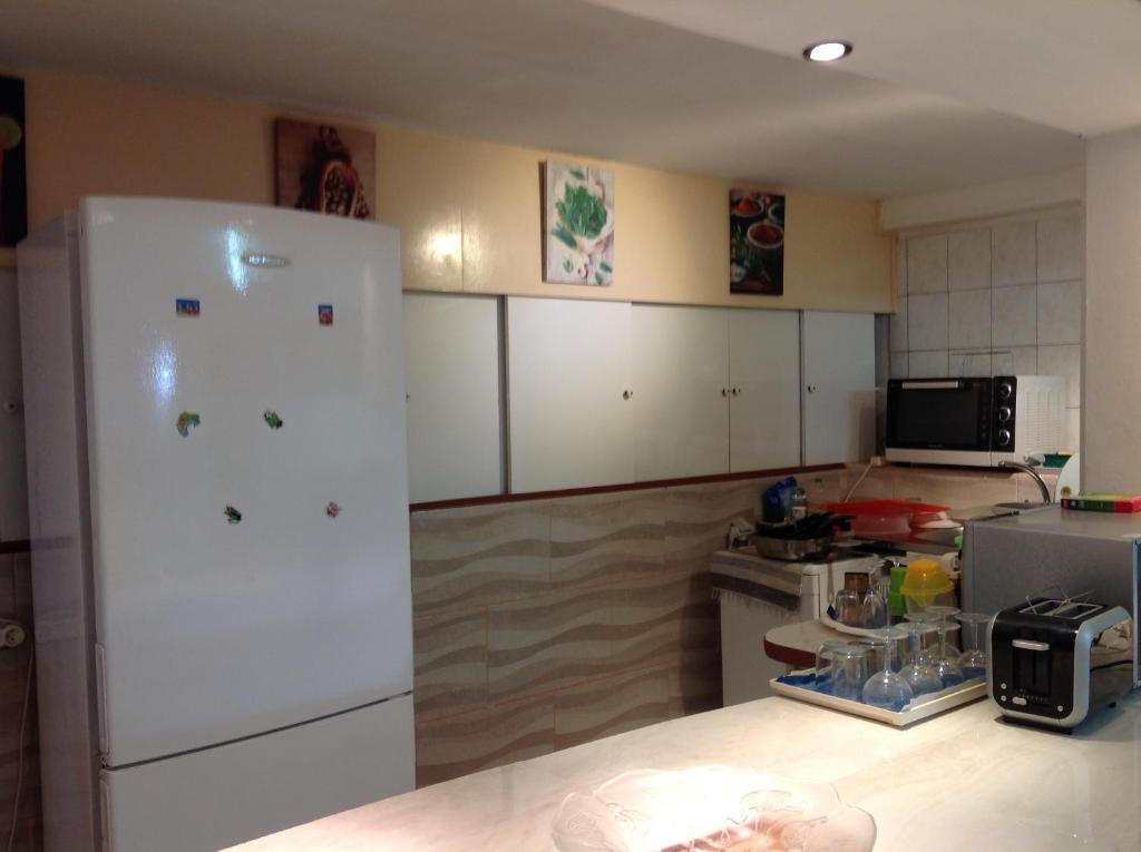 a kitchen with a white refrigerator and a microwave at villa NYL in Schœlcher