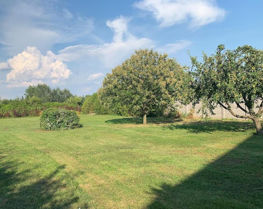Érd - Csendes, kényelmes családi ház - Apartamento Con Vista Al Jardín