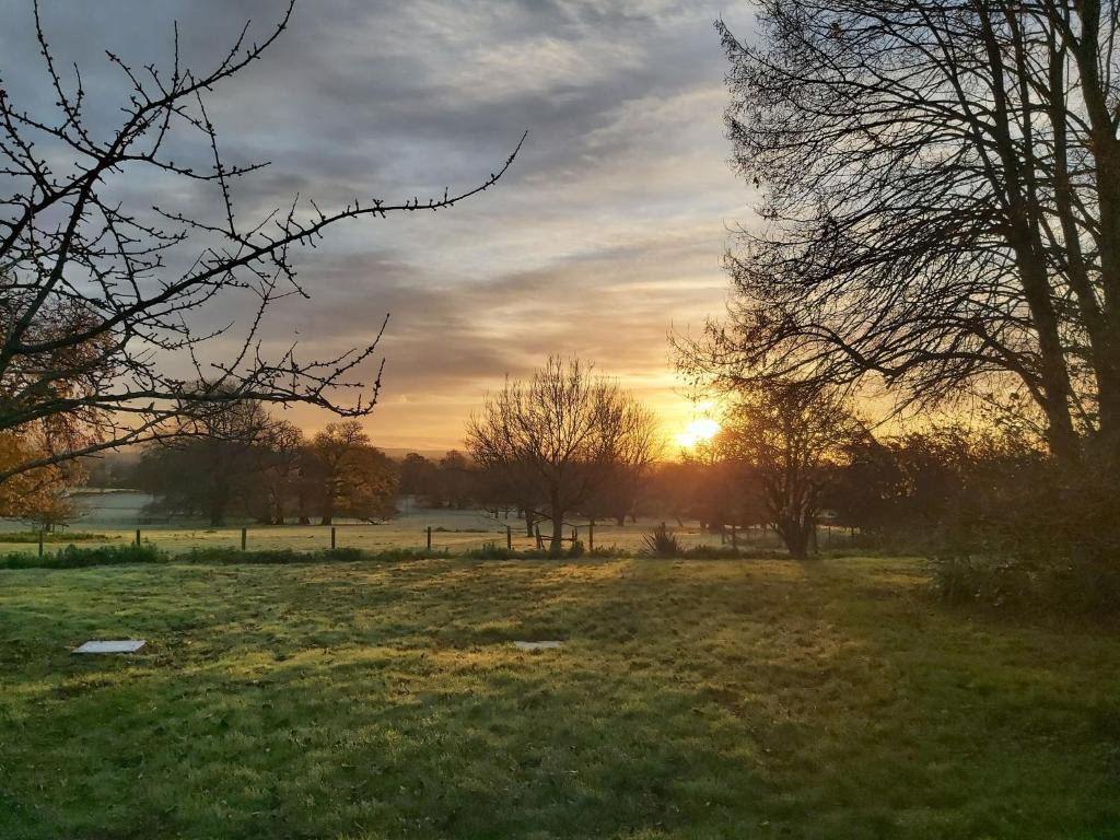 un campo con árboles y la puesta de sol en el fondo en Country Retreat at Judd's Folly en Faversham
