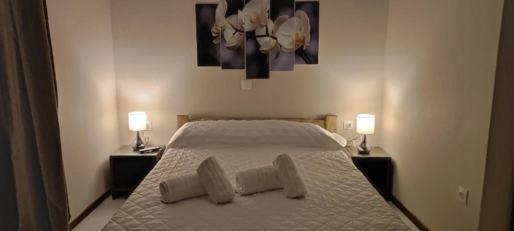 sypialnia z łóżkiem z 2 poduszkami w obiekcie VAGGELIO Rooms 1 w mieście Ilia