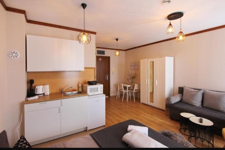 Η κουζίνα ή μικρή κουζίνα στο Luxury Suite Ivana