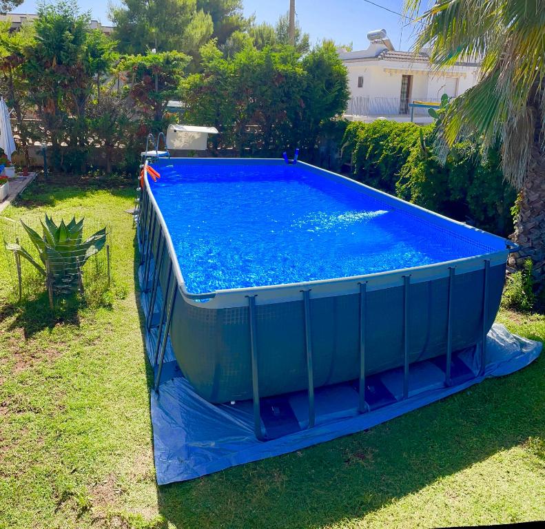 uma grande piscina azul num quintal em B&B Franziska Mare em San Pietro in Bevagna