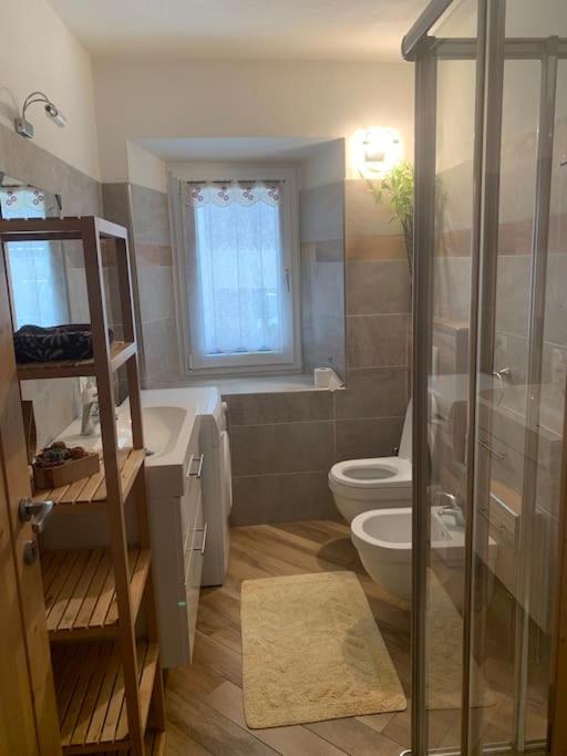 Kúpeľňa v ubytovaní Baita Carmen Bormio