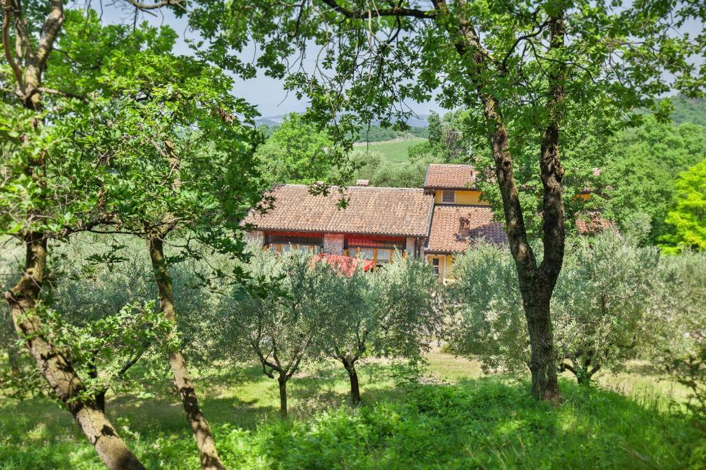 Príroda v okolí dovolenkového domu