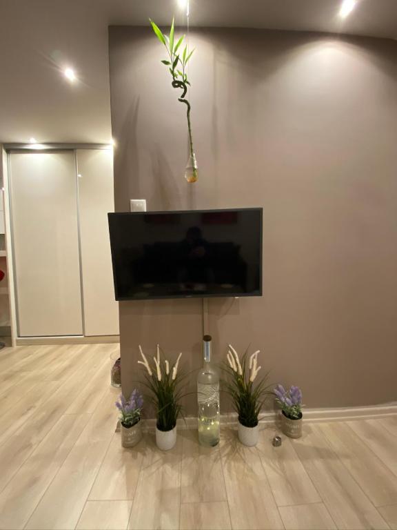 TV a/nebo společenská místnost v ubytování Eva suite Vip excellent studio 1