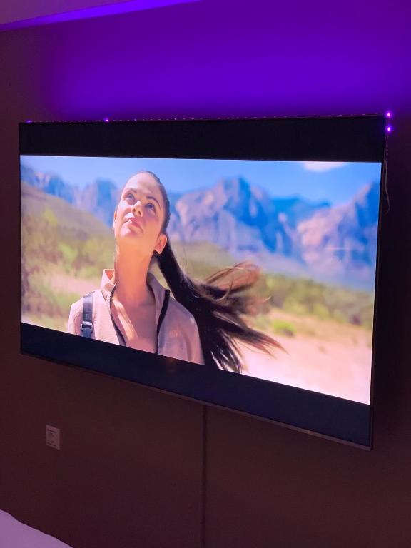 TV a/nebo společenská místnost v ubytování Eva suite Vip excellent studio 1